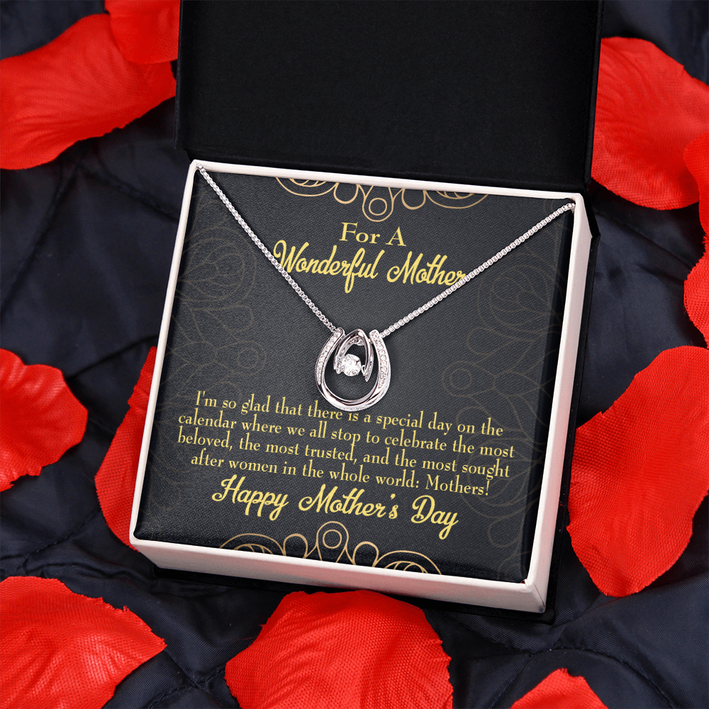Mother's Day Special Day Lucky Horseshoe Necklace Message Card 14k w CZ Crystals-Express Your Love Gifts