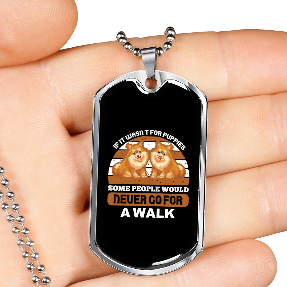 Never Go For A Walk Brown Necklace Stainless Steel or 18k Gold Dog Tag 24" Chain-Express Your Love Gifts
