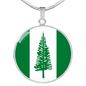 Norfolk Island Flag Necklace Circle Pendant Stainless Steel or 18k Gold 18-22"-Express Your Love Gifts