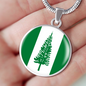 Norfolk Island Flag Necklace Circle Pendant Stainless Steel or 18k Gold 18-22"-Express Your Love Gifts