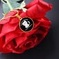 Not Cat Hair Circle Necklace Stainless Steel or 18k Gold 18-22"-Express Your Love Gifts
