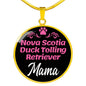 Nova Scotia Duck Tolling Retriever Mama Necklace Circle Pendant Stainless Steel or 18k Gold 18-22" Dog Mom Pendant-Express Your Love Gifts