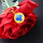 OK Blockchain (OKB) Circle Necklace Stainless Steel or 18k Gold 18-22"-Express Your Love Gifts