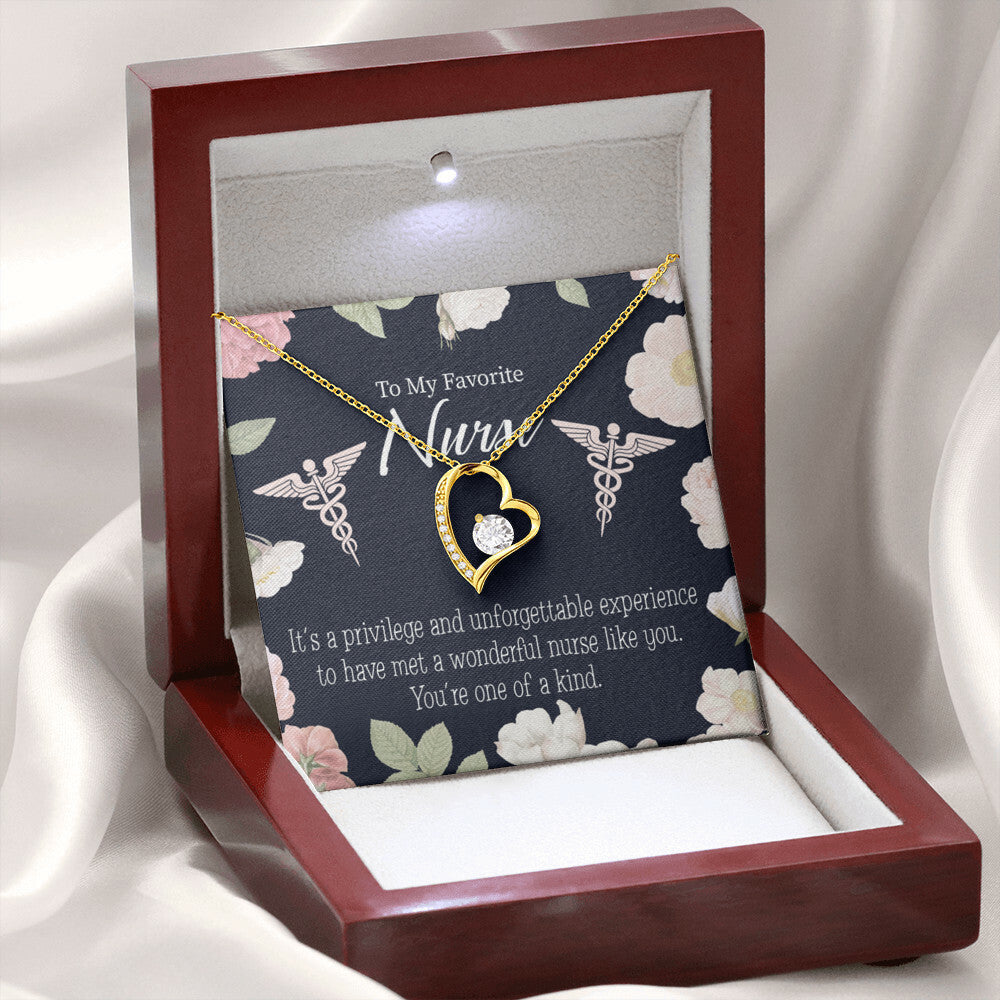 One of a Kind Healthcare Medical Worker Nurse Appreciation Gift Forever Necklace w Message Card-Express Your Love Gifts