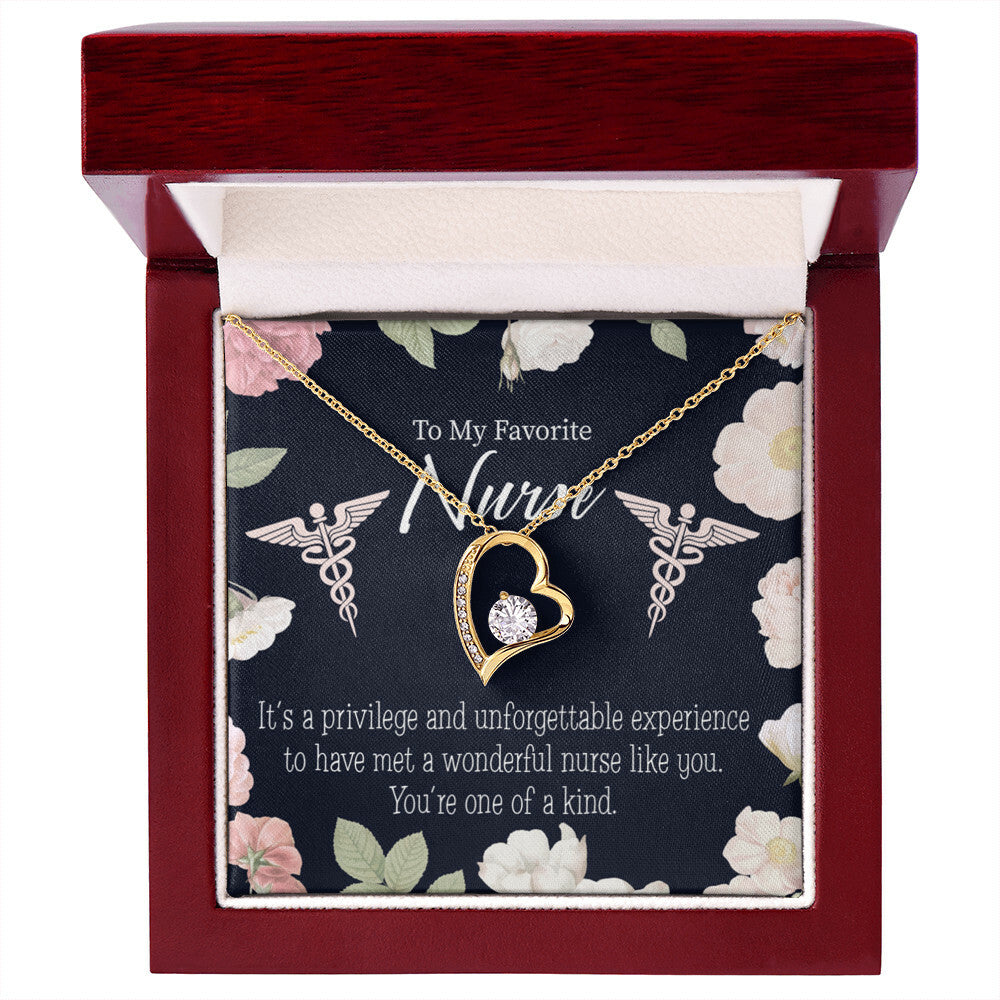 One of a Kind Healthcare Medical Worker Nurse Appreciation Gift Forever Necklace w Message Card-Express Your Love Gifts