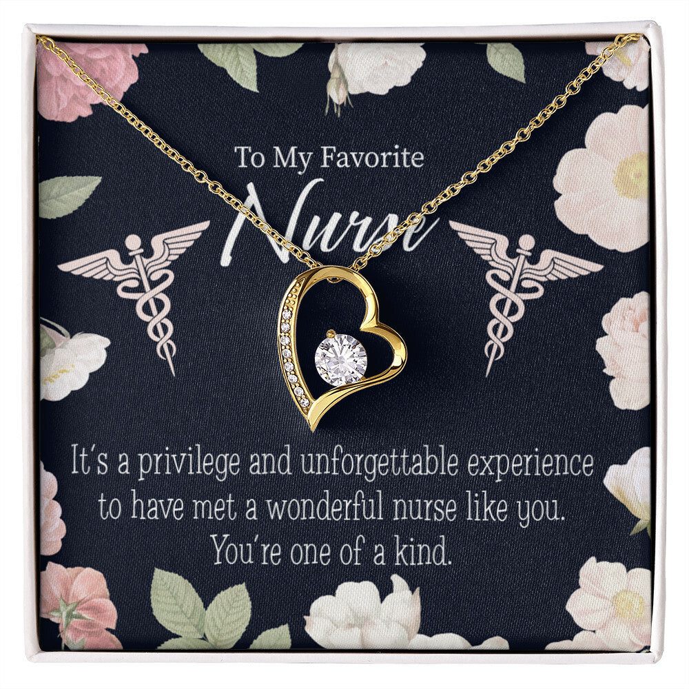 One of a Kind Healthcare Medical Worker Nurse Appreciation Gift Forever Necklace w Message Card-Express Your Love Gifts