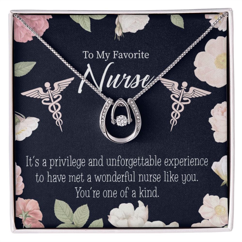 One of a Kind Healthcare Medical Worker Nurse Appreciation Gift Lucky Horseshoe Necklace Message Card 14k w CZ Crystals-Express Your Love Gifts