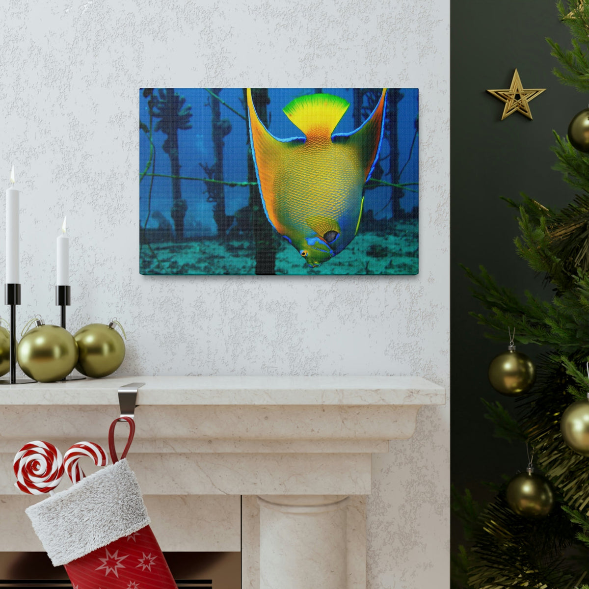 Queen Angel Fish Horizontal Angel Fish Wall Art Ready To Hang Unframed-Express Your Love Gifts