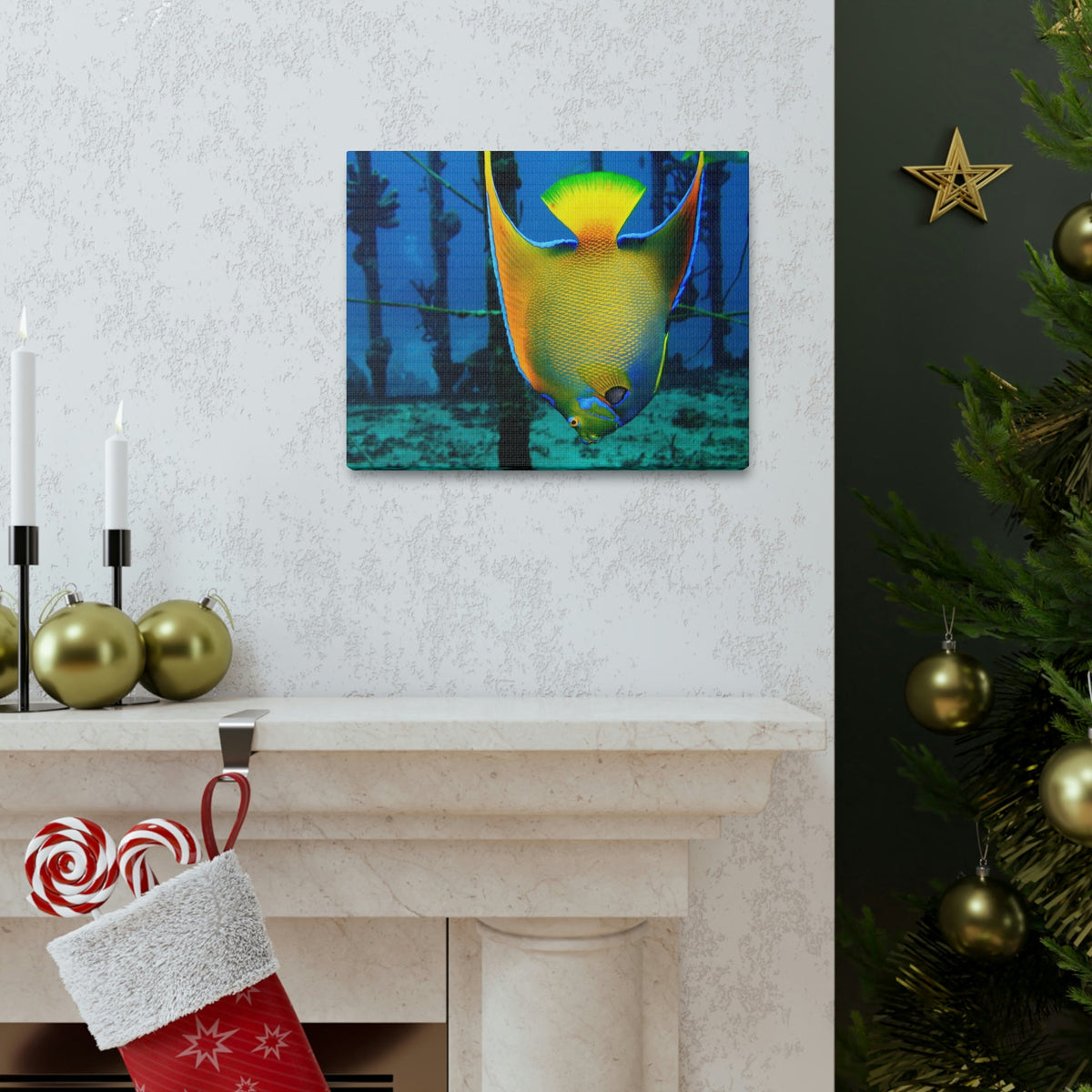 Queen Angel Fish Horizontal Angel Fish Wall Art Ready To Hang Unframed-Express Your Love Gifts