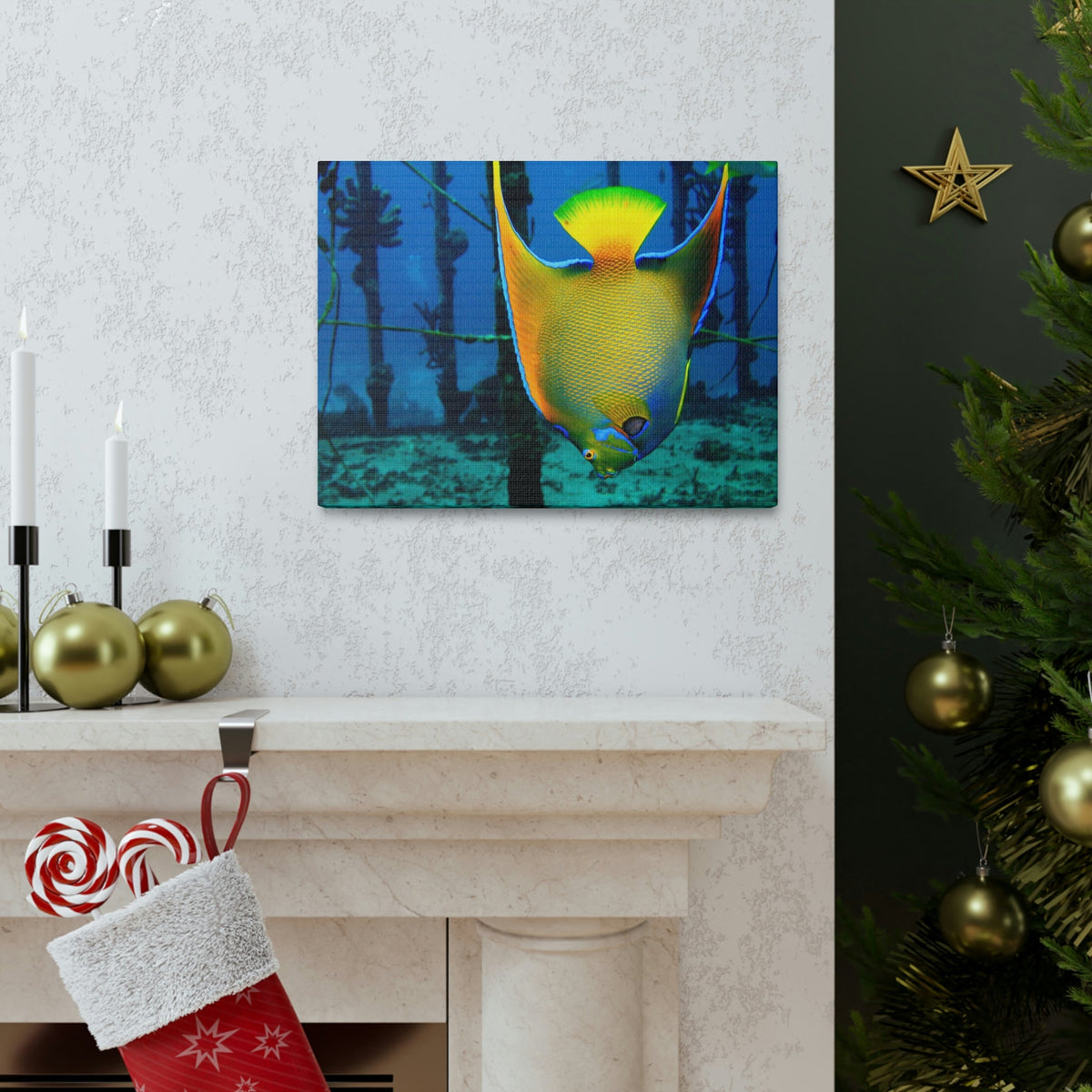 Queen Angel Fish Horizontal Angel Fish Wall Art Ready To Hang Unframed-Express Your Love Gifts