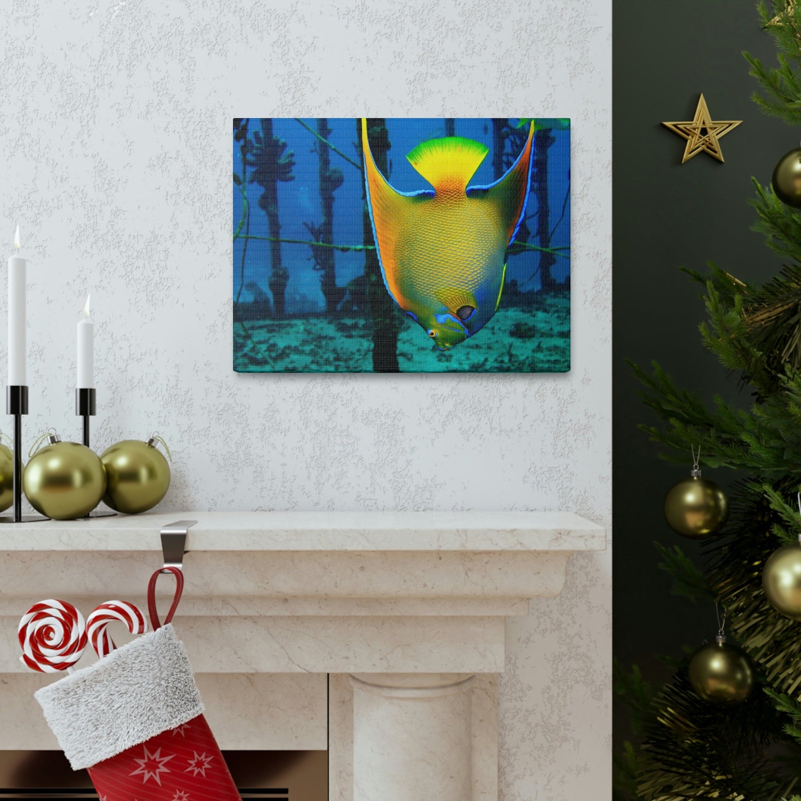 Queen Angel Fish Horizontal Angel Fish Wall Art Ready To Hang Unframed-Express Your Love Gifts
