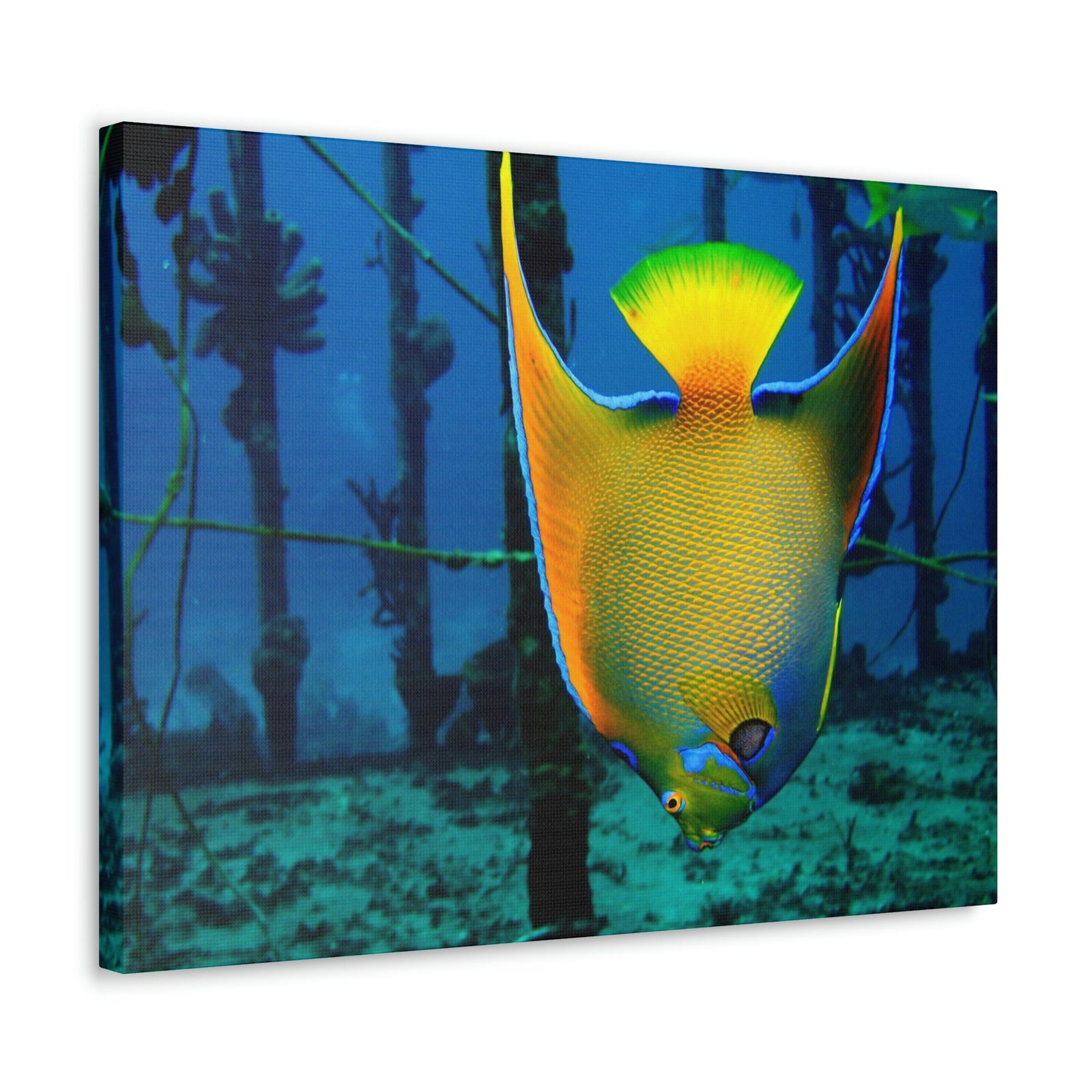 Queen Angel Fish Horizontal Angel Fish Wall Art Ready To Hang Unframed-Express Your Love Gifts