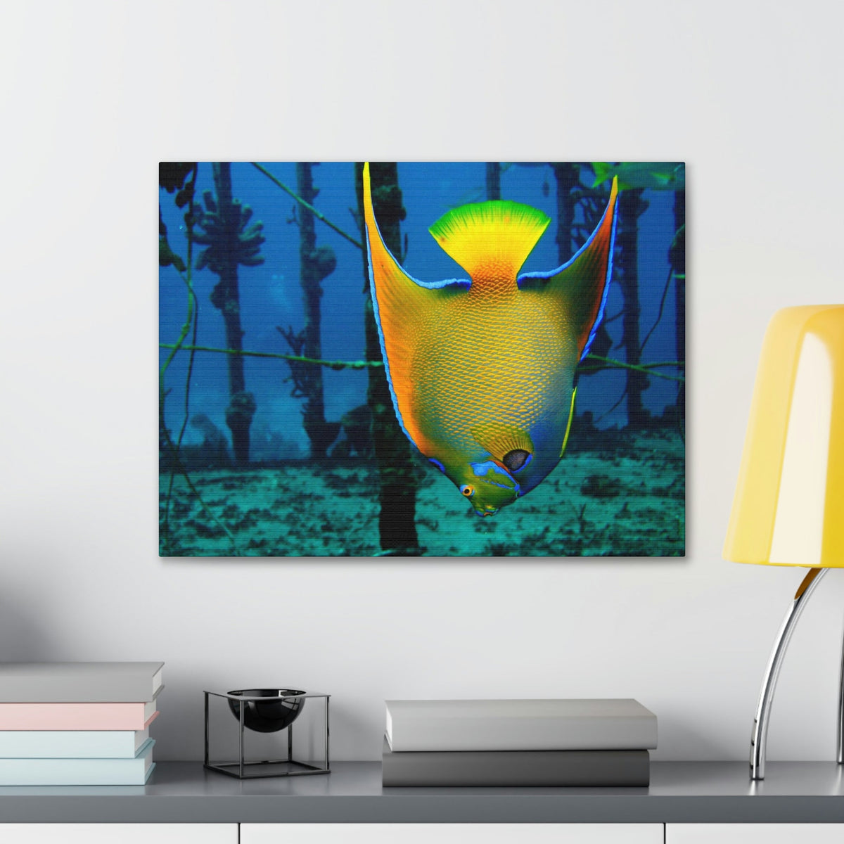 Queen Angel Fish Horizontal Angel Fish Wall Art Ready To Hang Unframed-Express Your Love Gifts