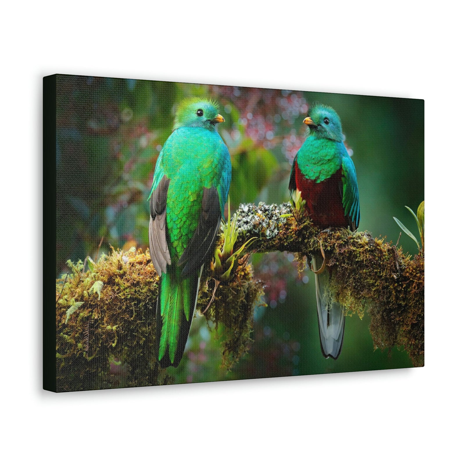 Scripture Walls Quetzal Couple Quetzal Couple Print Animal Wall Art Wildlife Canvas Prints Wall Art Ready to Hang Unframed-Express Your Love Gifts