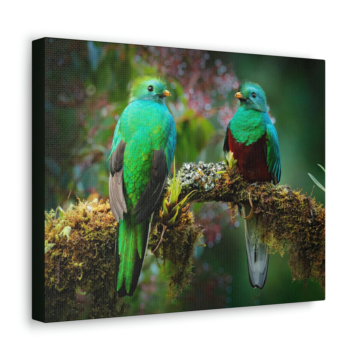 Scripture Walls Quetzal Couple Quetzal Couple Print Animal Wall Art Wildlife Canvas Prints Wall Art Ready to Hang Unframed-Express Your Love Gifts