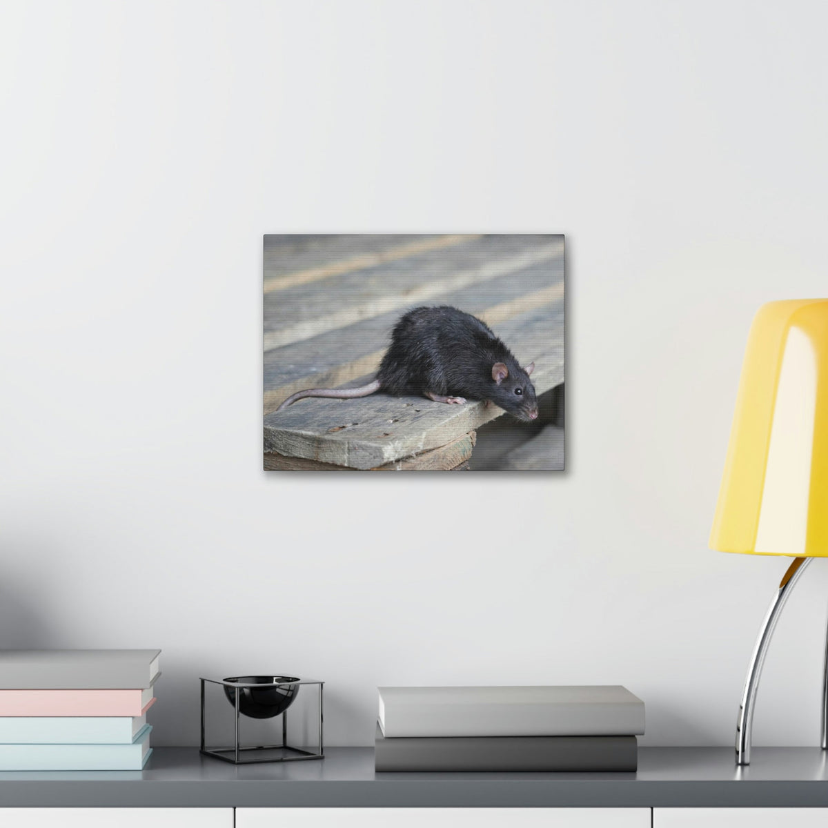 Scripture Walls Rat Hunting Rat on Hunt Print Animal Wall Art Wildlife Canvas Prints Wall Art Ready to Hang Unframed-Express Your Love Gifts