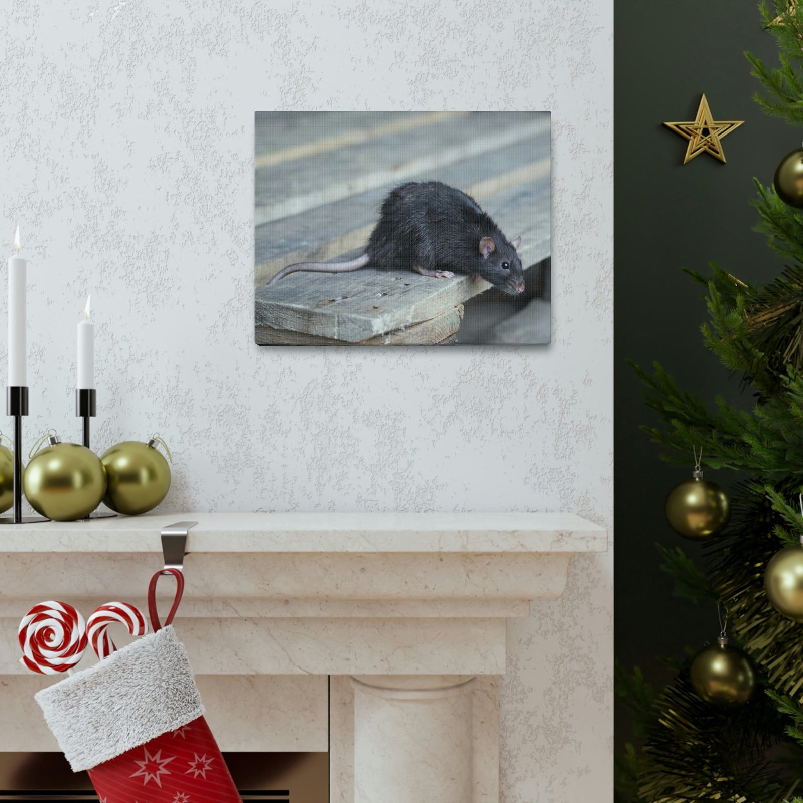 Scripture Walls Rat Hunting Rat on Hunt Print Animal Wall Art Wildlife Canvas Prints Wall Art Ready to Hang Unframed-Express Your Love Gifts