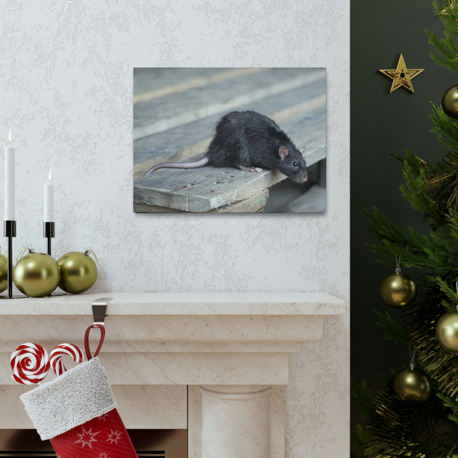 Scripture Walls Rat Hunting Rat on Hunt Print Animal Wall Art Wildlife Canvas Prints Wall Art Ready to Hang Unframed-Express Your Love Gifts