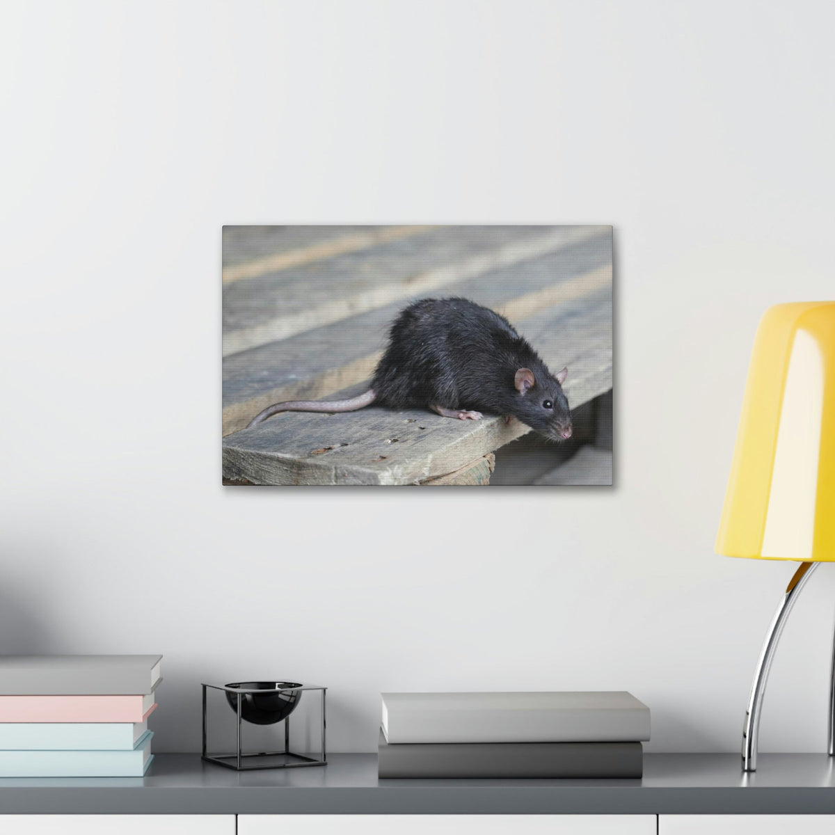 Scripture Walls Rat Hunting Rat on Hunt Print Animal Wall Art Wildlife Canvas Prints Wall Art Ready to Hang Unframed-Express Your Love Gifts