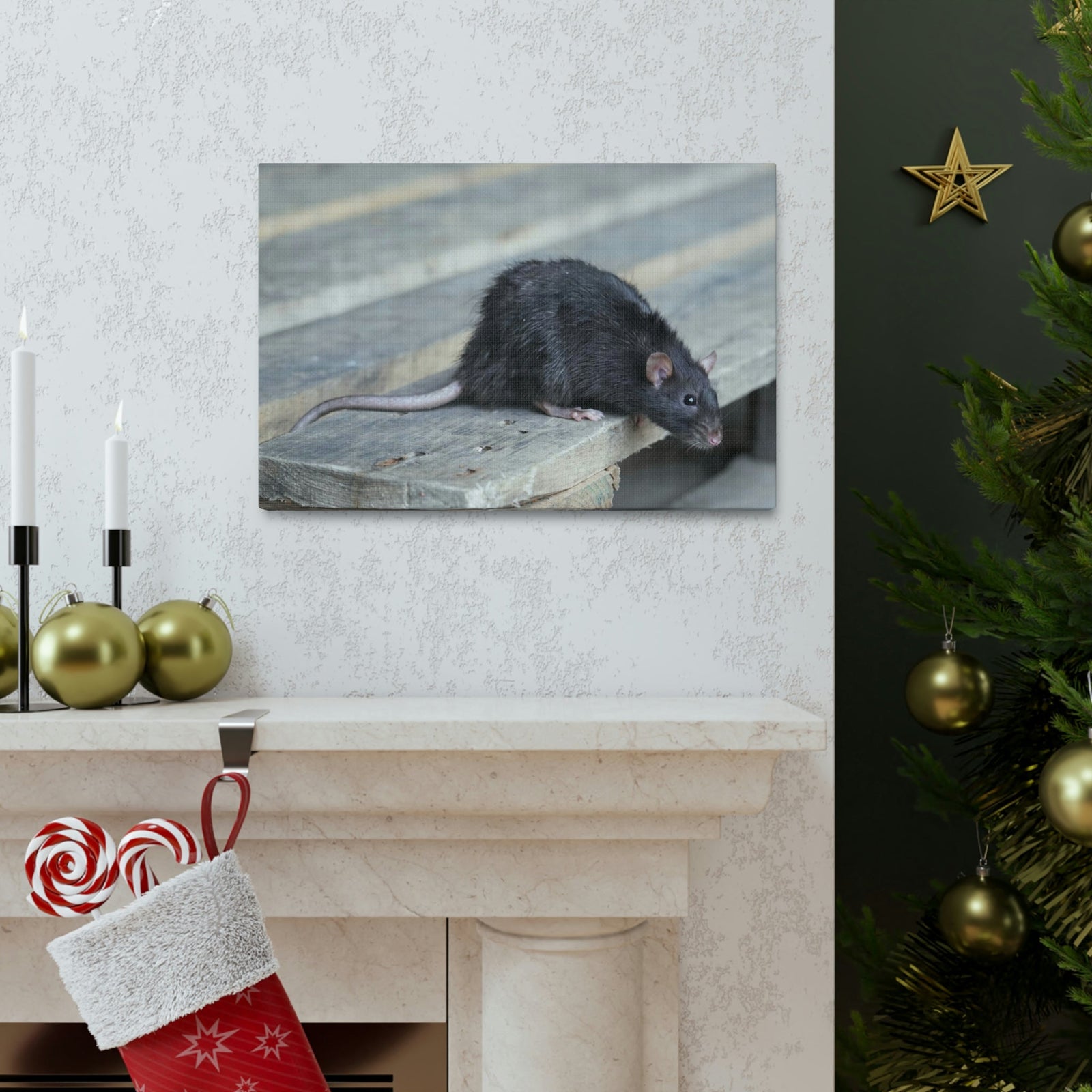 Scripture Walls Rat Hunting Rat on Hunt Print Animal Wall Art Wildlife Canvas Prints Wall Art Ready to Hang Unframed-Express Your Love Gifts