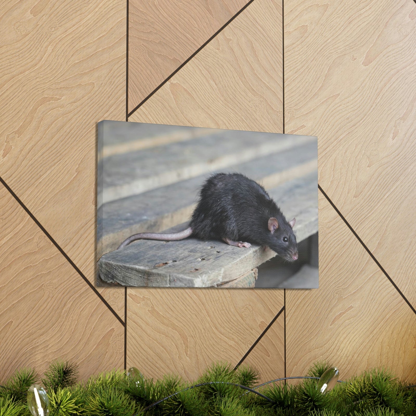 Scripture Walls Rat Hunting Rat on Hunt Print Animal Wall Art Wildlife Canvas Prints Wall Art Ready to Hang Unframed-Express Your Love Gifts