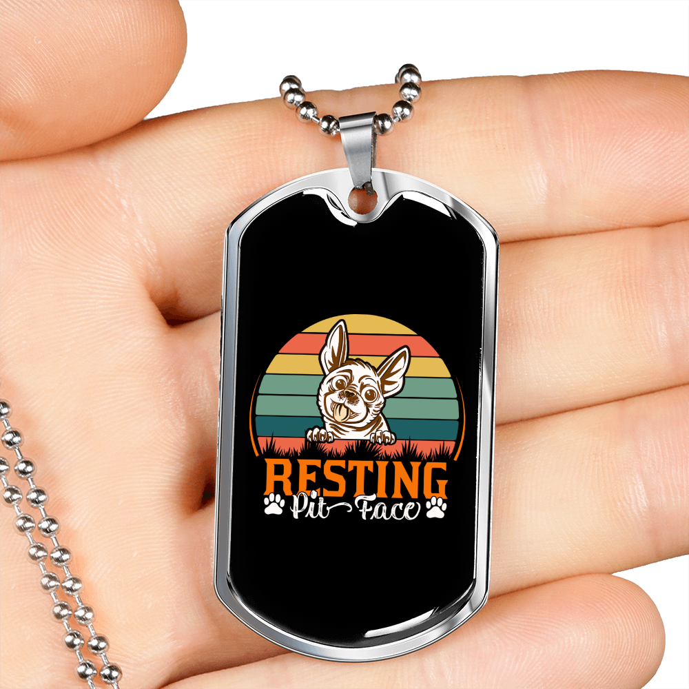 Resting Pit Face Necklace Stainless Steel or 18k Gold Dog Tag 24" Chain-Express Your Love Gifts