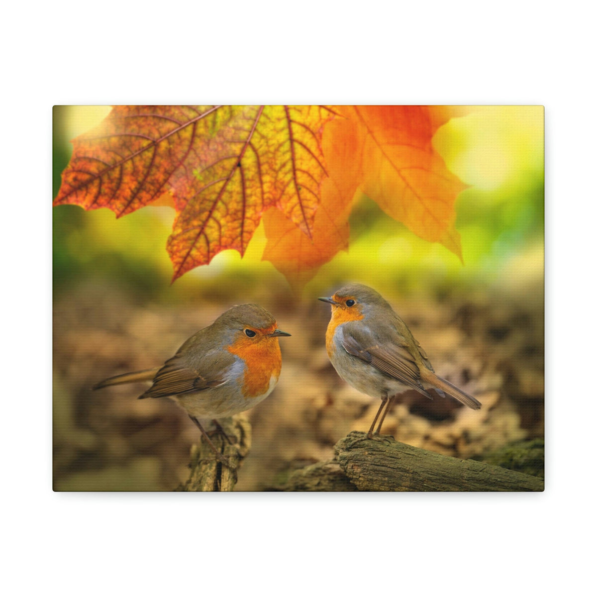 Scripture Walls Robins in the Forest Print Animal Wall Art Wildlife Canvas Prints Wall Art Ready to Hang Unframed-Express Your Love Gifts