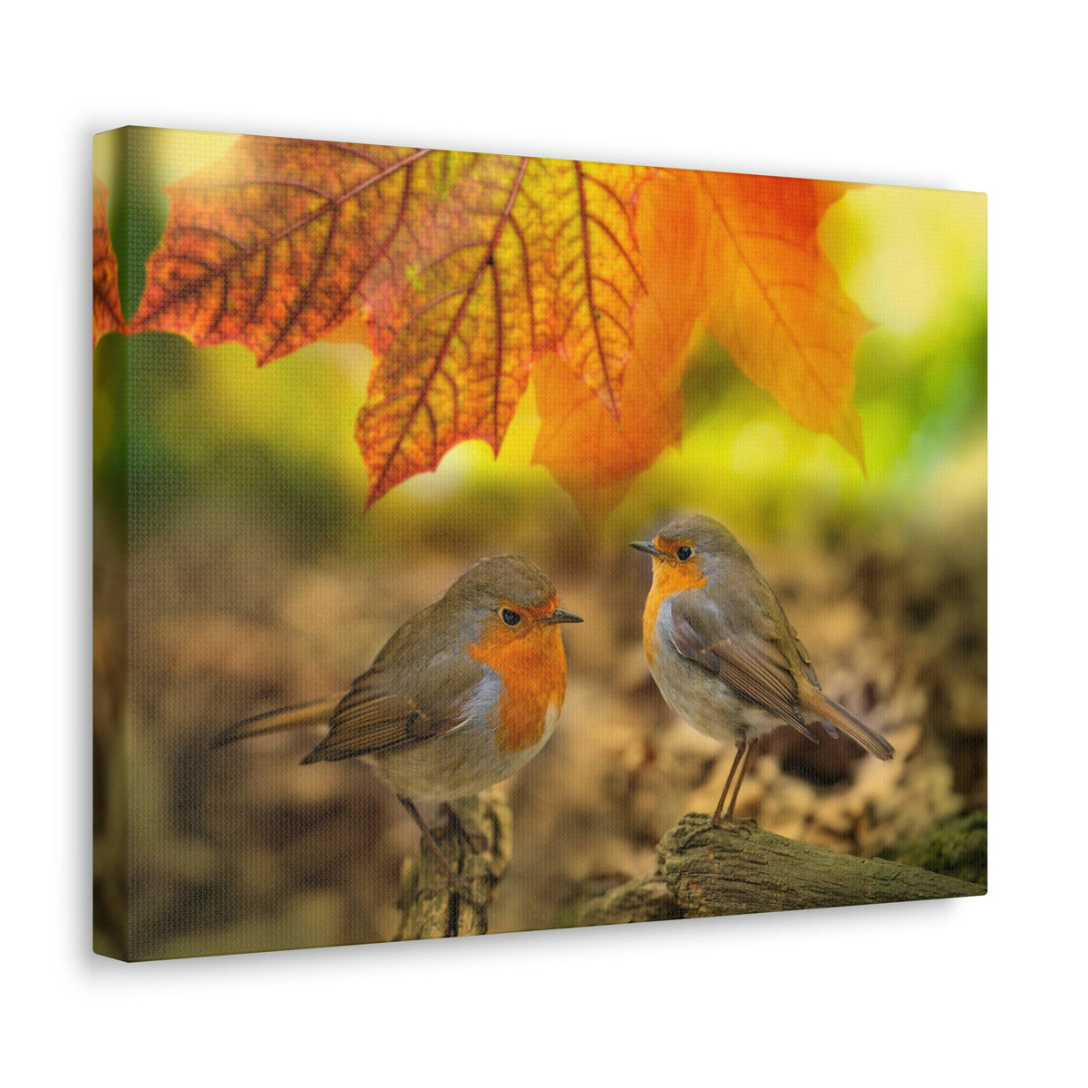 Scripture Walls Robins in the Forest Print Animal Wall Art Wildlife Canvas Prints Wall Art Ready to Hang Unframed-Express Your Love Gifts