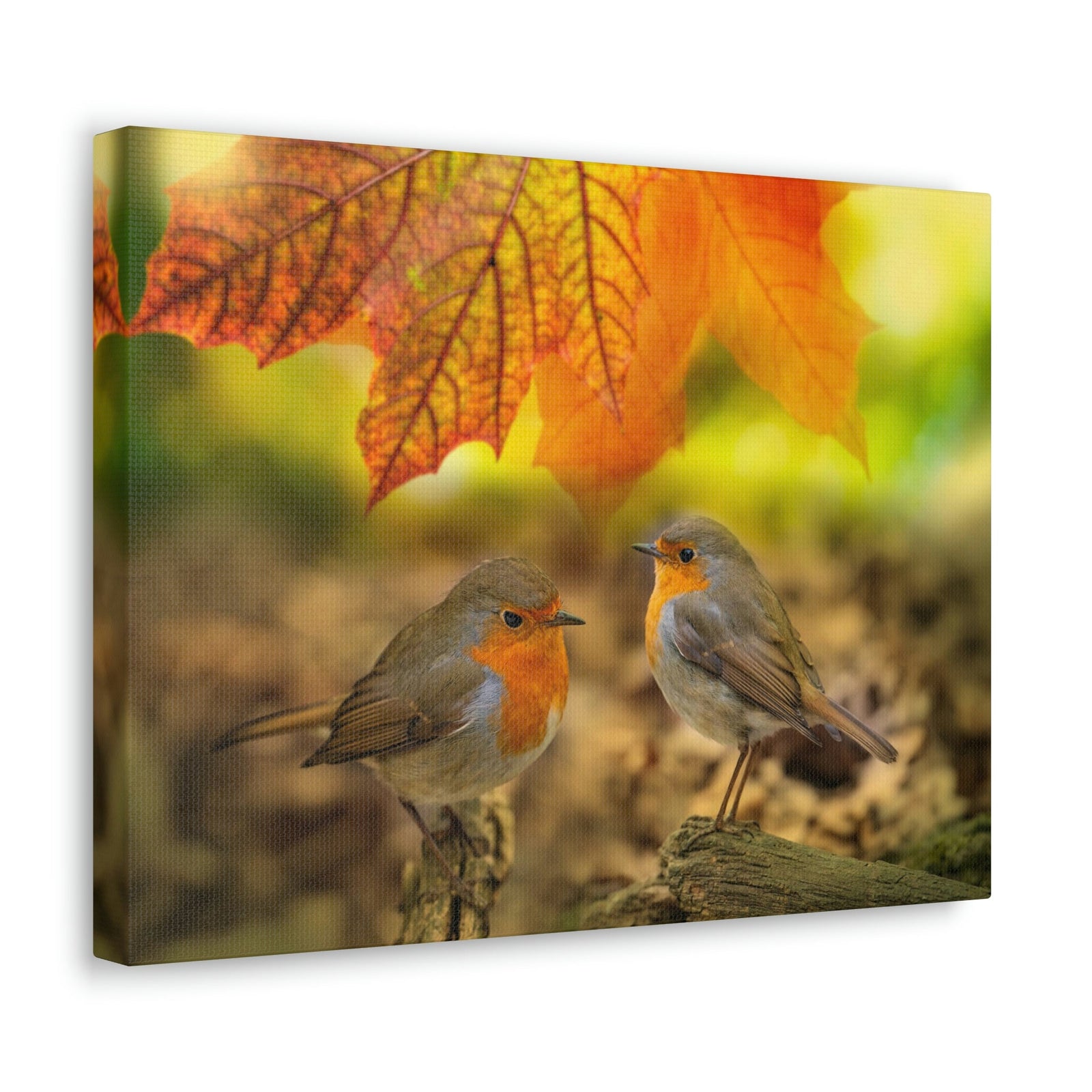 Scripture Walls Robins in the Forest Print Animal Wall Art Wildlife Canvas Prints Wall Art Ready to Hang Unframed-Express Your Love Gifts