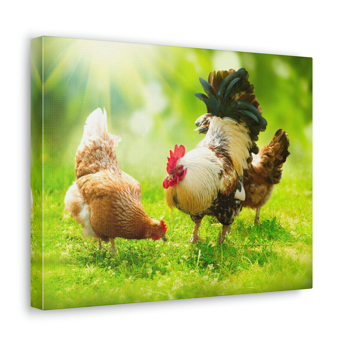 Scripture Walls Rooster and Chicken Hunting for Food Print Animal Wall Art Wildlife Canvas Prints Wall Art Ready to Hang Unframed-Express Your Love Gifts