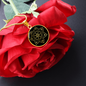 Sacred Geometry Lantern Circle Necklace Stainless Steel or 18k Gold 18-22"-Express Your Love Gifts