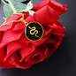 Sacred Geometry Sun Snake Circle Necklace Stainless Steel or 18k Gold 18-22"-Express Your Love Gifts