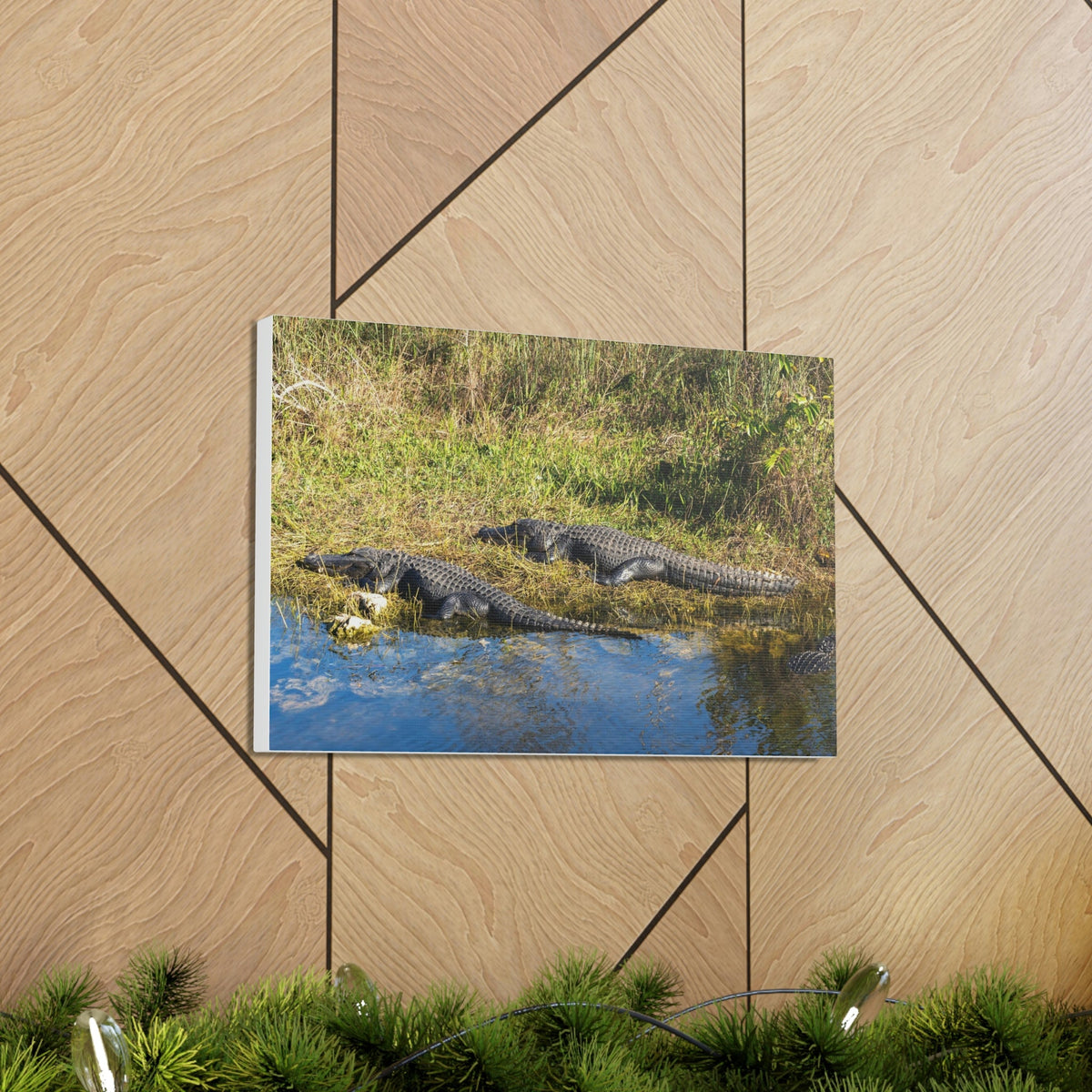 Scripture Walls Salt Water Alligator Couple Salt Water Alligator Couple Print Animal Wall Art Wildlife Canvas Prints Wall Art Ready to Hang Unframed-Express Your Love Gifts