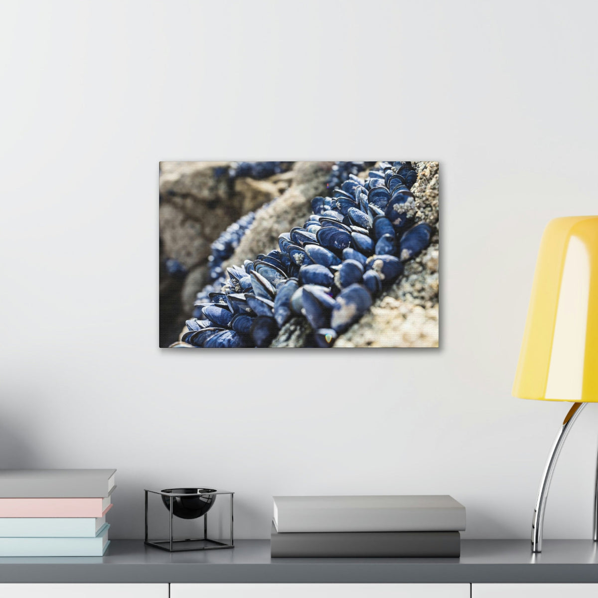 Scripture Walls Scallop Group Scallop Troop Print Animal Wall Art Wildlife Canvas Prints Wall Art Ready to Hang Unframed-Express Your Love Gifts