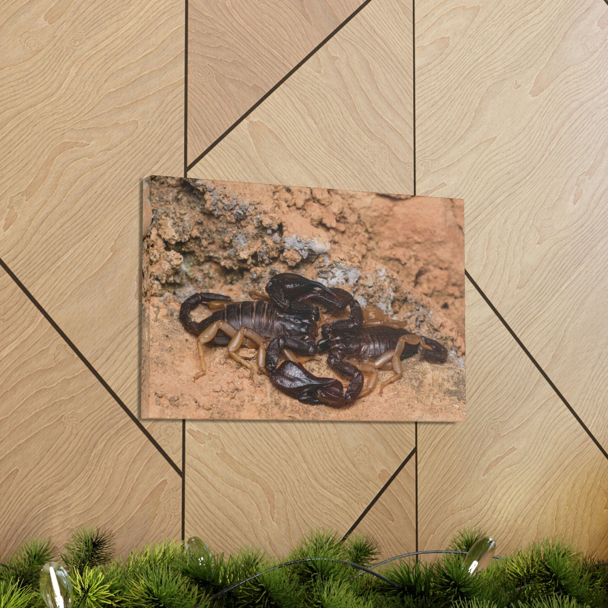 Scripture Walls Scorpion Couple Scorpion Couple Print Animal Wall Art Wildlife Canvas Prints Wall Art Ready to Hang Unframed-Express Your Love Gifts