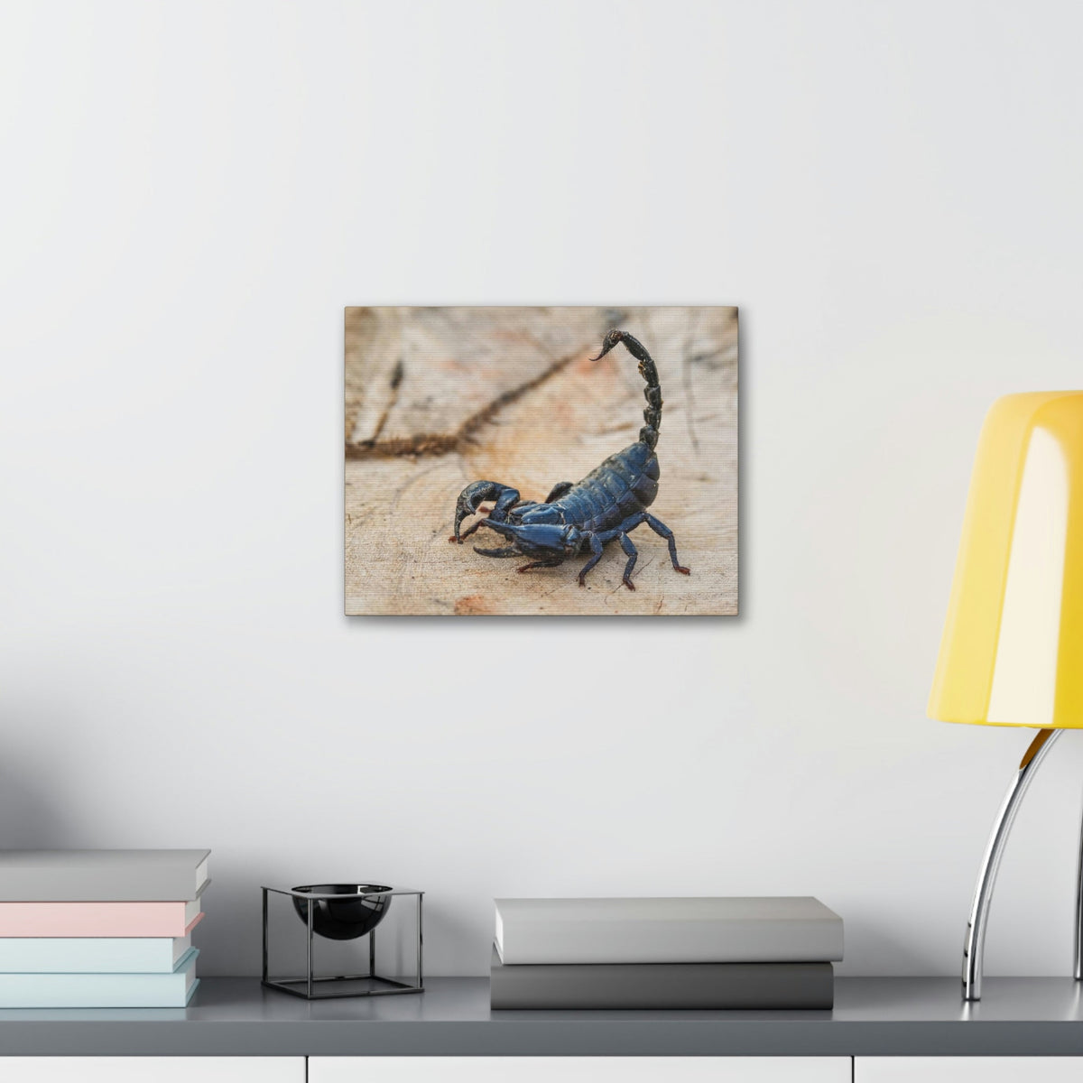 Scripture Walls Scorpion Hunting Scorpion on Hunt Print Animal Wall Art Wildlife Canvas Prints Wall Art Ready to Hang Unframed-Express Your Love Gifts