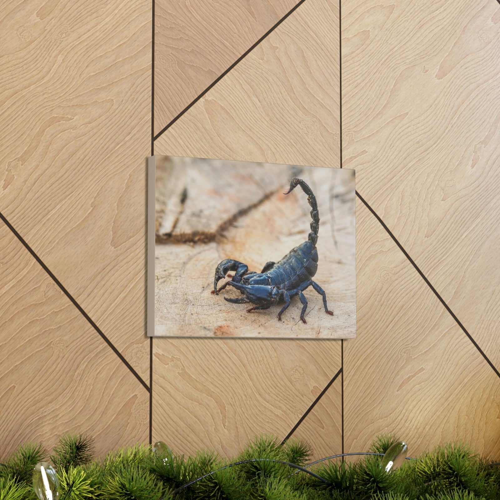 Scripture Walls Scorpion Hunting Scorpion on Hunt Print Animal Wall Art Wildlife Canvas Prints Wall Art Ready to Hang Unframed-Express Your Love Gifts