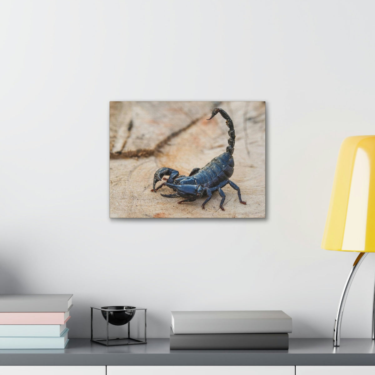 Scripture Walls Scorpion Hunting Scorpion on Hunt Print Animal Wall Art Wildlife Canvas Prints Wall Art Ready to Hang Unframed-Express Your Love Gifts