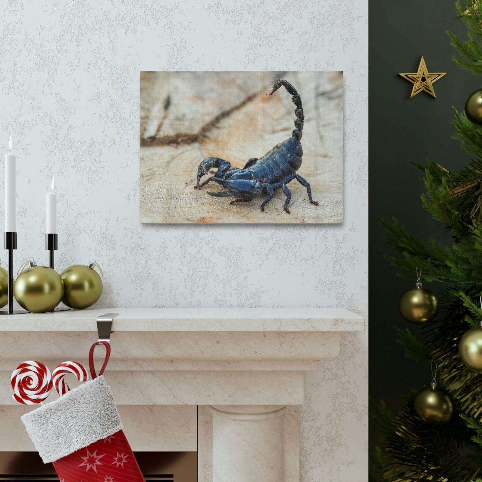 Scripture Walls Scorpion Hunting Scorpion on Hunt Print Animal Wall Art Wildlife Canvas Prints Wall Art Ready to Hang Unframed-Express Your Love Gifts