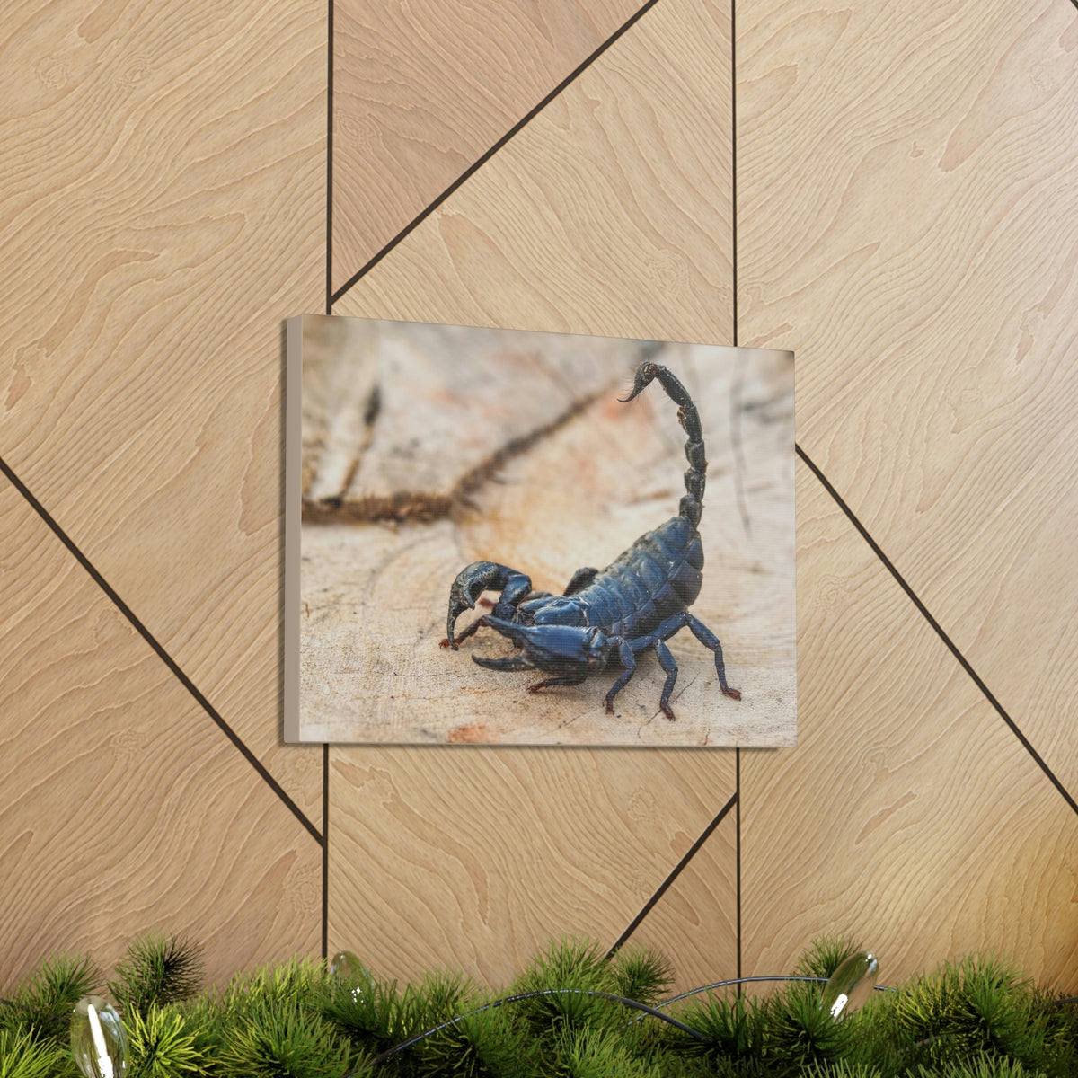 Scripture Walls Scorpion Hunting Scorpion on Hunt Print Animal Wall Art Wildlife Canvas Prints Wall Art Ready to Hang Unframed-Express Your Love Gifts