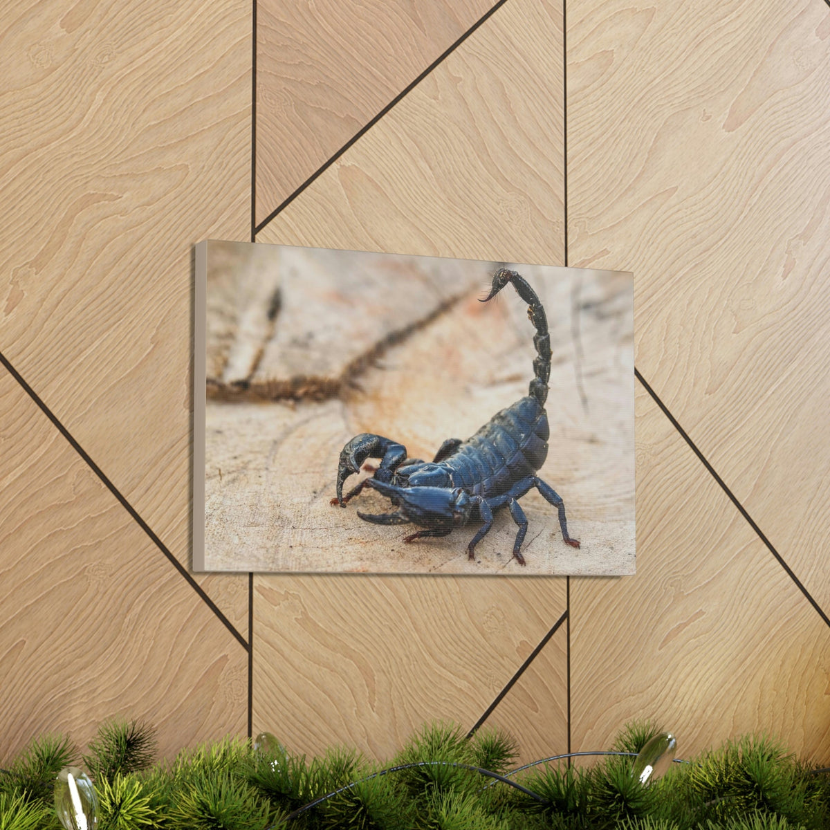 Scripture Walls Scorpion Hunting Scorpion on Hunt Print Animal Wall Art Wildlife Canvas Prints Wall Art Ready to Hang Unframed-Express Your Love Gifts