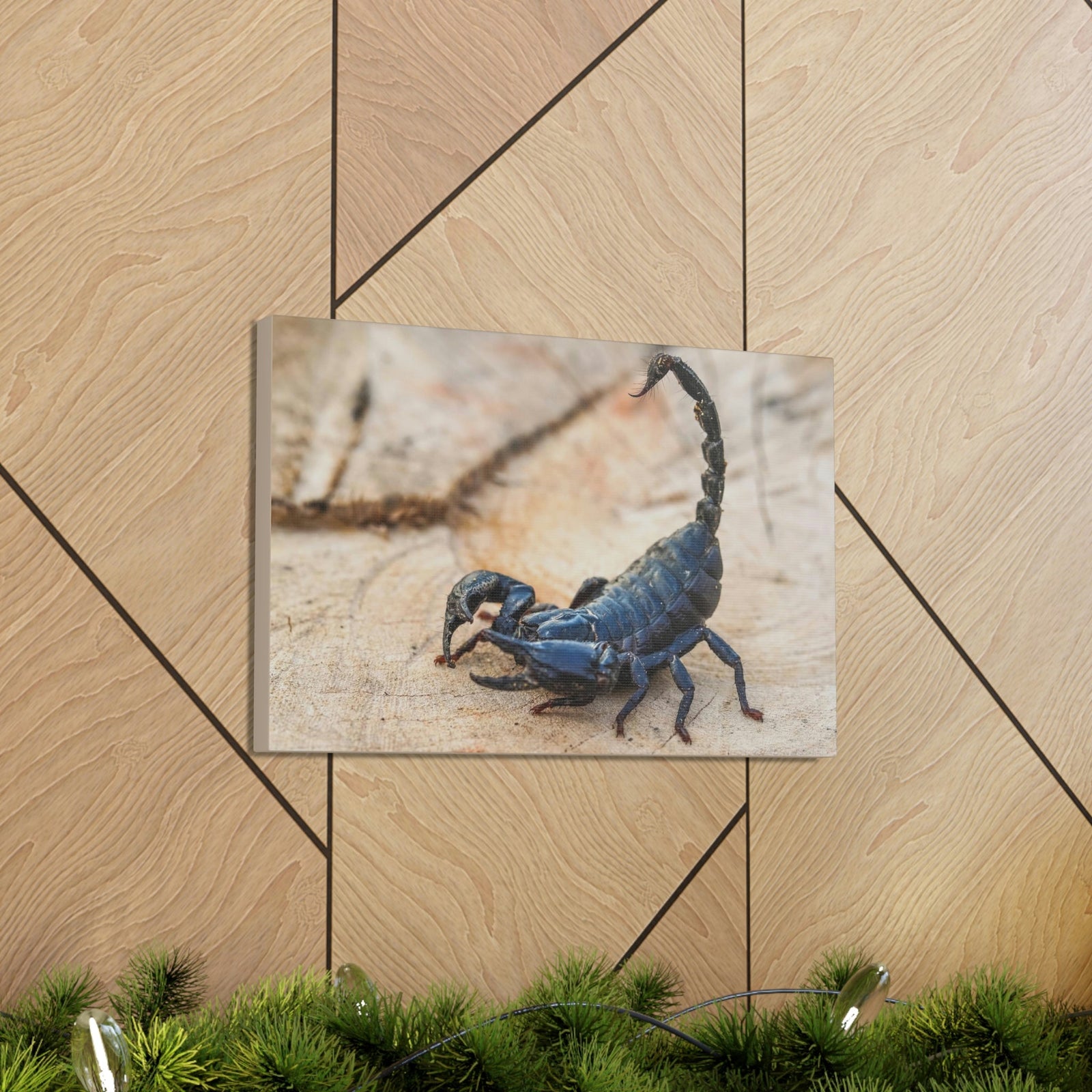 Scripture Walls Scorpion Hunting Scorpion on Hunt Print Animal Wall Art Wildlife Canvas Prints Wall Art Ready to Hang Unframed-Express Your Love Gifts
