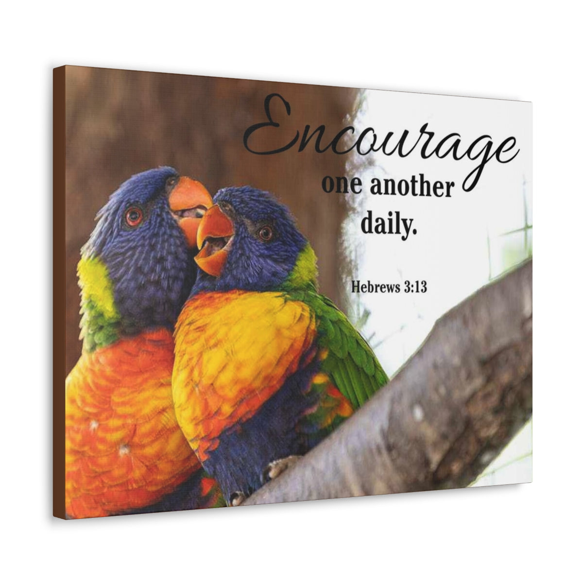 Scriptura Walls Encourage One Another Daily Hebrews 3:13 Parrots Christian Wall Art Bible Verse Print Ready to Hang Unframed-Express Your Love Gifts