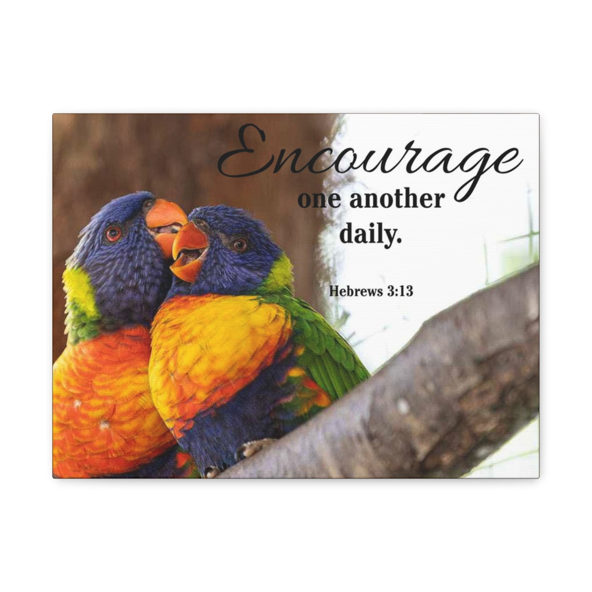 Scriptura Walls Encourage One Another Daily Hebrews 3:13 Parrots Christian Wall Art Bible Verse Print Ready to Hang Unframed-Express Your Love Gifts