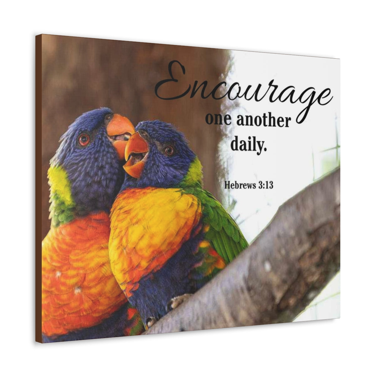 Scriptura Walls Encourage One Another Daily Hebrews 3:13 Parrots Christian Wall Art Bible Verse Print Ready to Hang Unframed-Express Your Love Gifts