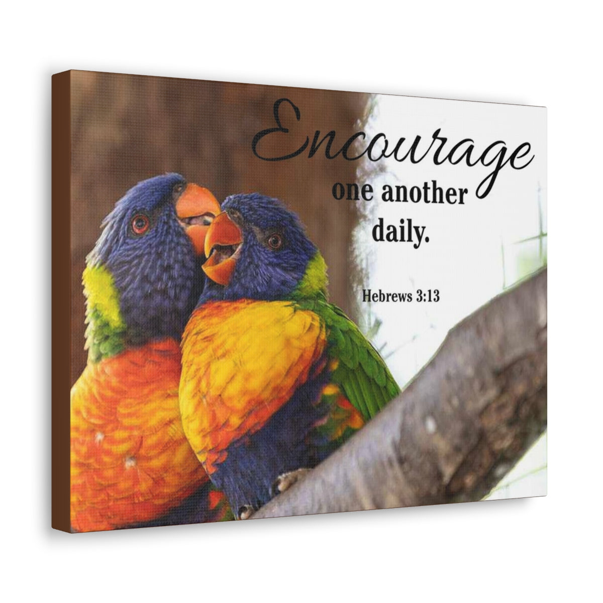 Scriptura Walls Encourage One Another Daily Hebrews 3:13 Parrots Christian Wall Art Bible Verse Print Ready to Hang Unframed-Express Your Love Gifts