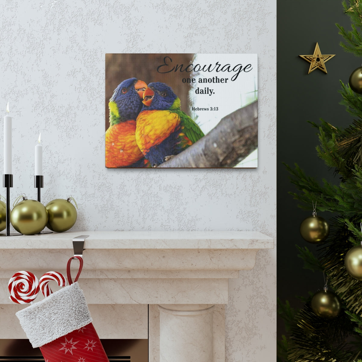 Scriptura Walls Encourage One Another Daily Hebrews 3:13 Parrots Christian Wall Art Bible Verse Print Ready to Hang Unframed-Express Your Love Gifts
