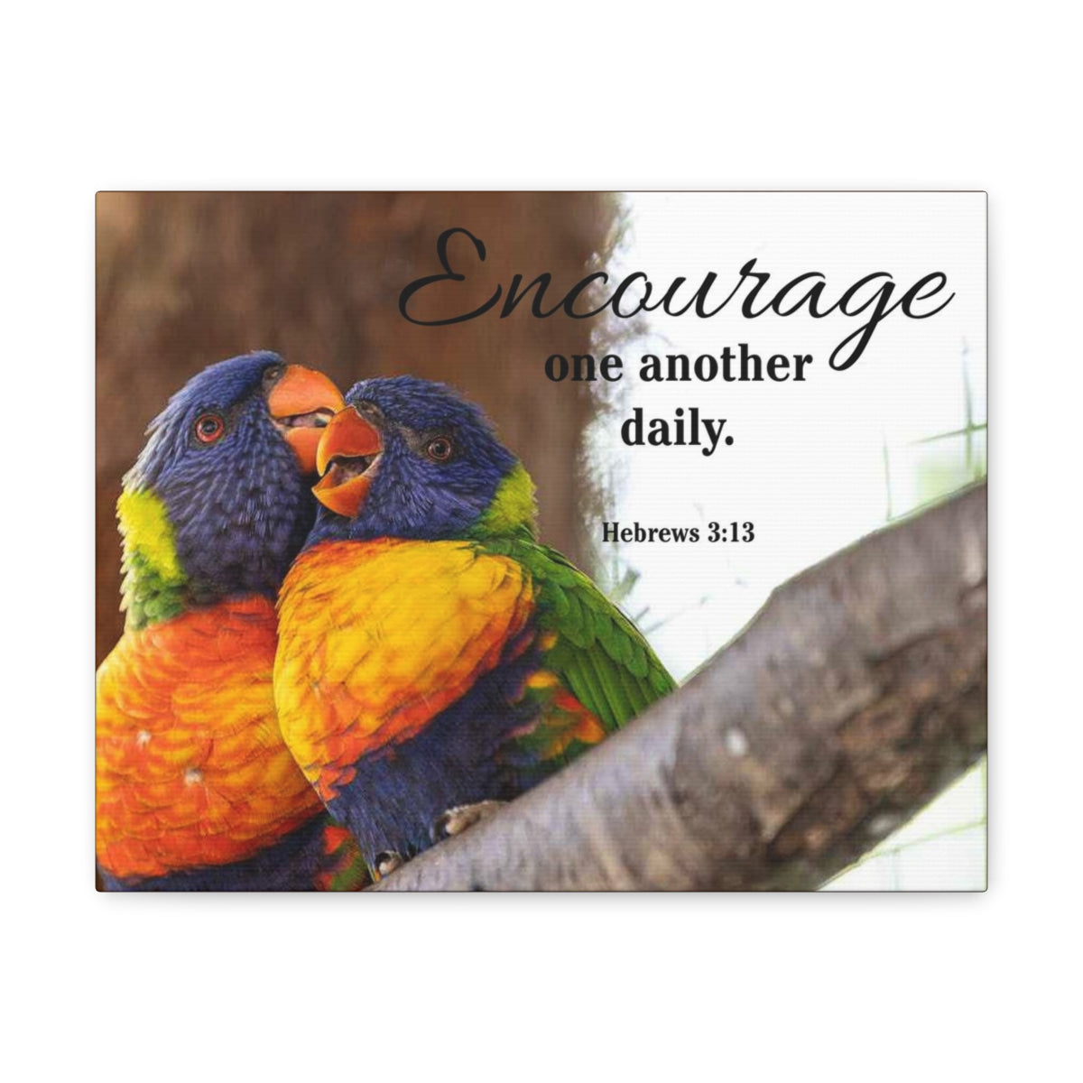 Scriptura Walls Encourage One Another Daily Hebrews 3:13 Parrots Christian Wall Art Bible Verse Print Ready to Hang Unframed-Express Your Love Gifts