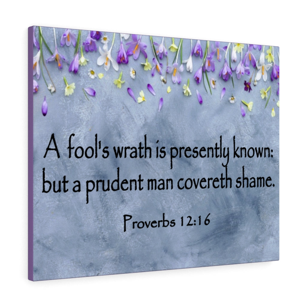 Scripture Walls A Fool's Wrath Proverbs 12:16 Bible Verse Canvas Christian Wall Art Ready to Hang Unframed-Express Your Love Gifts