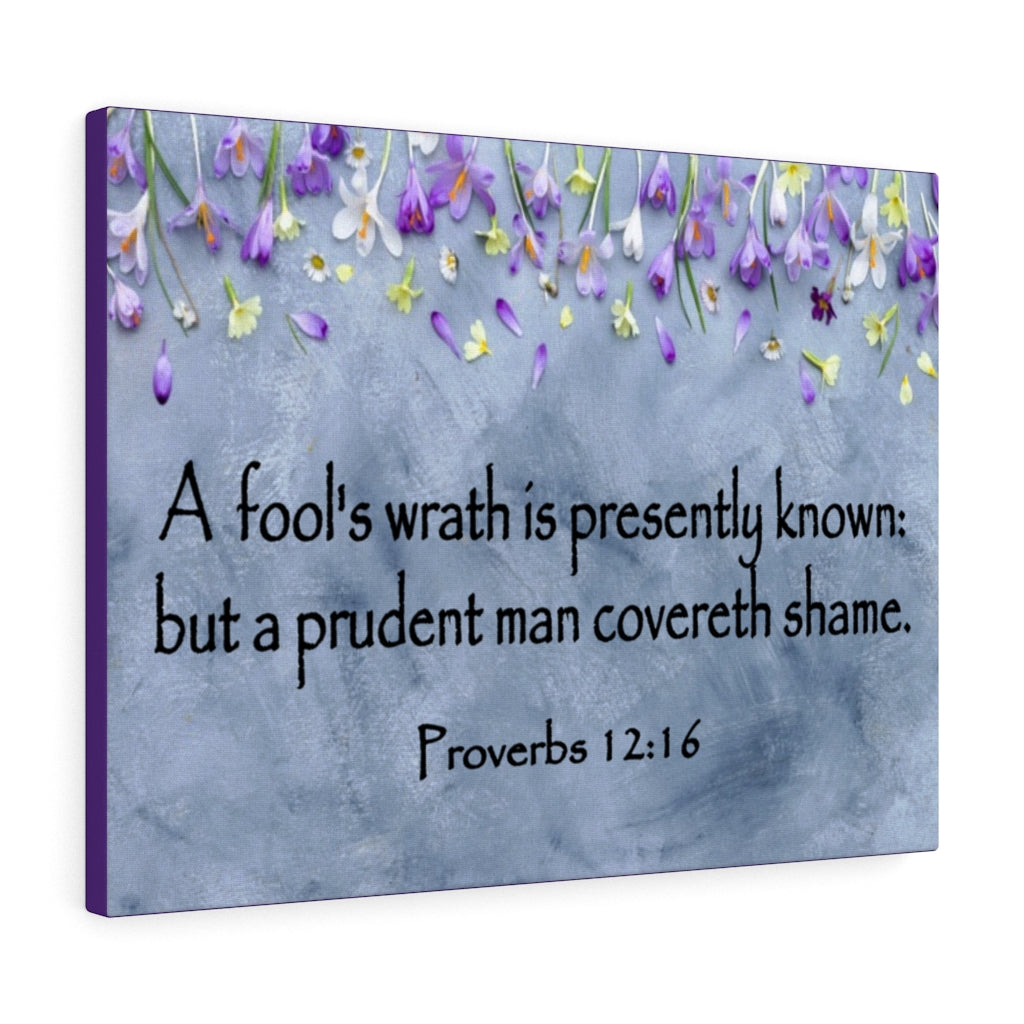Scripture Walls A Fool's Wrath Proverbs 12:16 Bible Verse Canvas Christian Wall Art Ready to Hang Unframed-Express Your Love Gifts